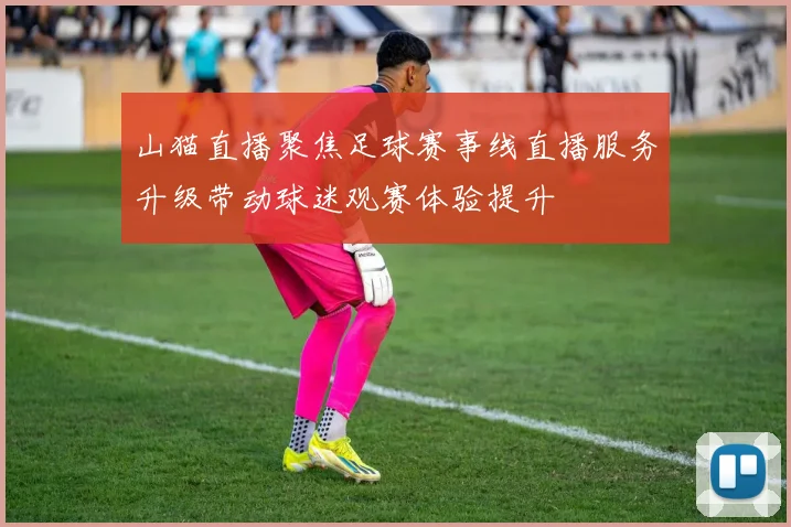 山猫直播聚焦足球赛事线直播服务升级带动球迷观赛体验提升